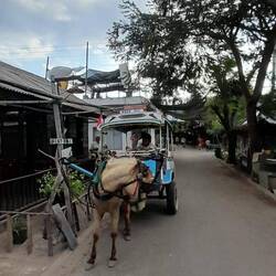 Pferdekutsche als Haupttransportmittel