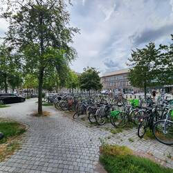 Hmm... where to park?