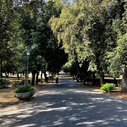 A serene roadway through the Villa Borghese Gardens.