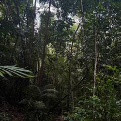 Seven Wells Eco-Forest Park