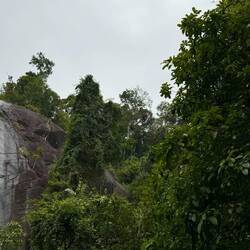 Seven Wells Eco-Forest Park