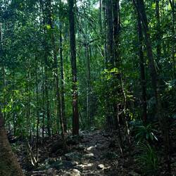 Seven Wells Eco-Forest Park