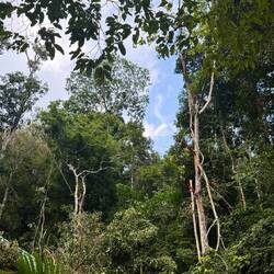 Seven Wells Eco-Forest Park