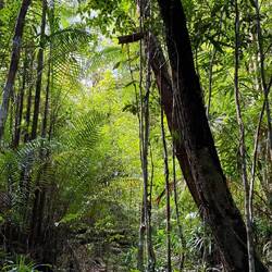 Seven Wells Eco-Forest Park