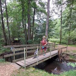 Die Grenzbrücke über die Regnitz!