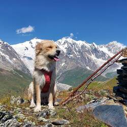 Nächster Gipfel erreicht