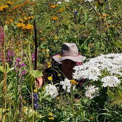 Der Hund war längere Zeit im Blindflug unterwegs😅