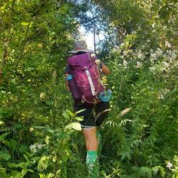 Dann folgen 500 Höhenmeter Wald