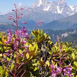 Mount Ushba mit 4700m Höhe
