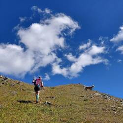 Auf Gipfel folgt Gipfel. Immer um die 3000m hoch. Intervalltraining pur💪