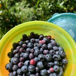 Inklusive Blaubeeren. Yummi😊