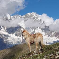 Tolle Panoramen wechseln sich ab. Die Bergwelt grandios😍!