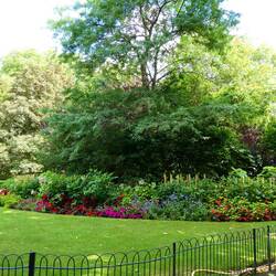St James Park