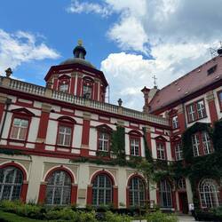 Little off the beaten path garden