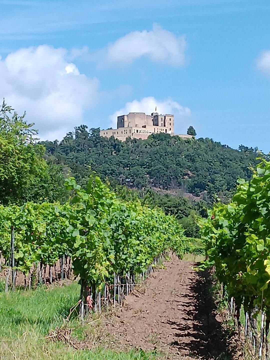 Hambacher Schloss