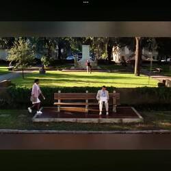 szene aus dem Film "Forest Gump"
