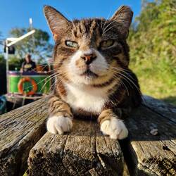 Abby loved that nobody was walking past the boat and stationed herself on this bench to bask