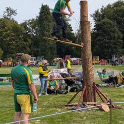 Local fete, tree felling competition
