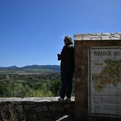 Mirador del Pino