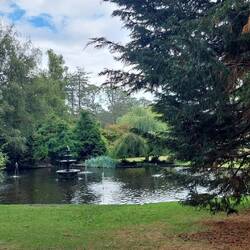 Beacon Hill Park in Victoria