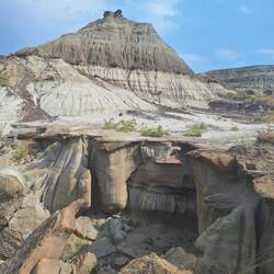 Fast unecht sieht es aus