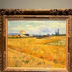 Iconic landscape of Amsterdam