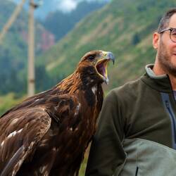 Momento ornitologico