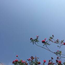 Blue Sky after a storm, Tivat
