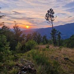 Campspot am Abend