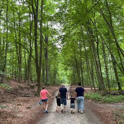 Waldspeziergang zur Fähre