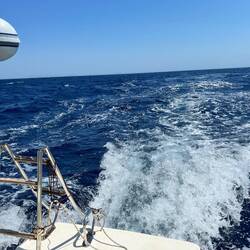 Action bei 10kt Wind