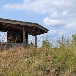 Vogelbeobachtungsstation