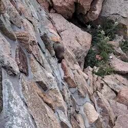 Haben eine ganze Familie getroffen