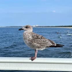 Sie stand Model 😍