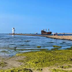 ... mit Black Pearl 🏴‍☠️