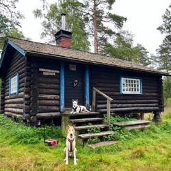 ..die Wanderhütte Karolinerstugan, deren..