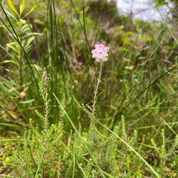 Während unserer Hüttenbesichtigung werden Glocken- und..
