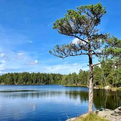Zurück am Stellplatz, wo wir unsere Sachen für die Nacht zusammenpacken, nutzen manche..