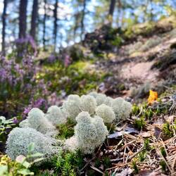 ..in aller Ruhe zu erkunden.