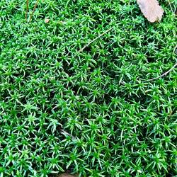 ..durch die abwechslungsreiche Landschaft.