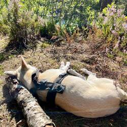 Johnny bereitet sich indes auf Marens Geburtstag vor, der..