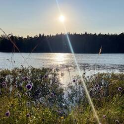 ..zum Stellplatz am See, wo wir die..