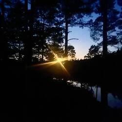 ..begleitet wird von einem unglaublich gelben und intensiven Mond.