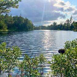 In unmittelbarer Nähe finden sich gut versteckt..