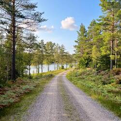 Ich biege nach etwa zwei Stunden ab und folge wieder der Straße..