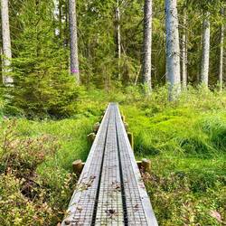 Am darauffolgenden Tag wandern wir ein wenig..