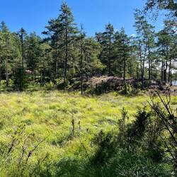 ..die Möglichkeit habe das andere Seeufer..