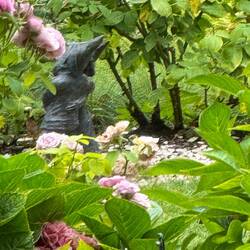 And these two in the botanical gardens