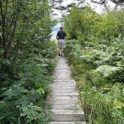 A few places had boardwalks