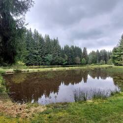 Frei zugängliches Gelände von einem Anglerverein!👍